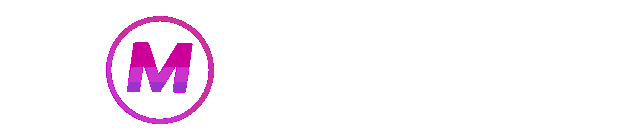 logo-MISTER138