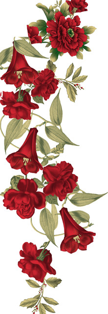 shutterstock 1997447612.jpg