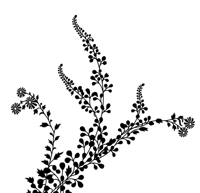 e7b218dbae7984829ad67bdbafbe6bca.jpg