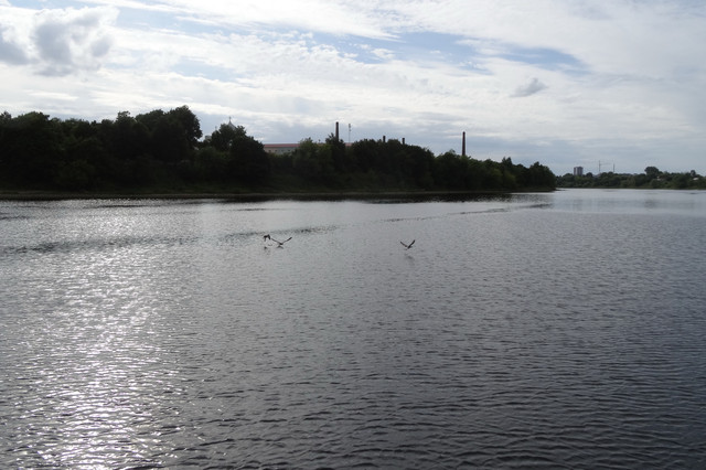 DSC06361-5