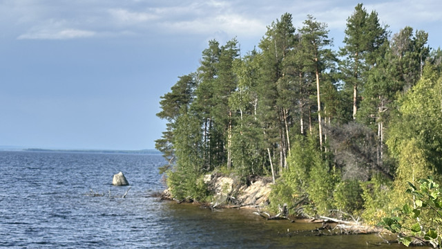 IMG 5400.jpg