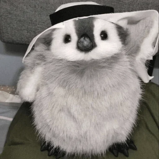ogu Avia