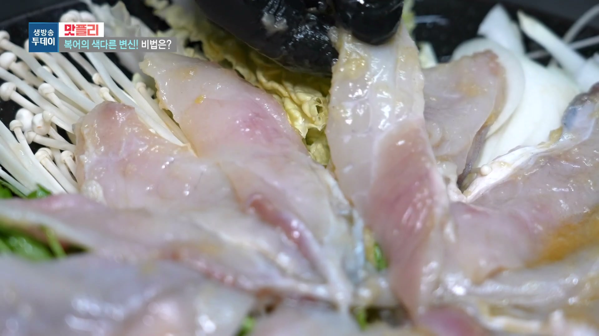 모닝와이드 이유있는맛집 복어샤부구이 복어불고기 참복어회 추가 캡처 3