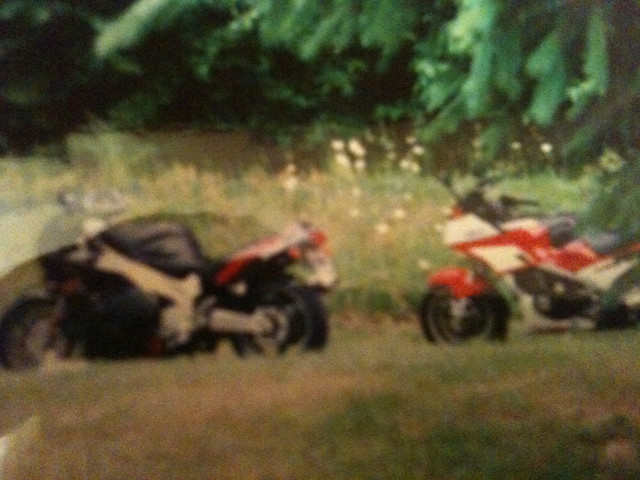 photo29.jpg
