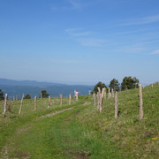 DSC04863