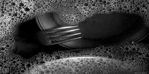 dishwater1.jpg