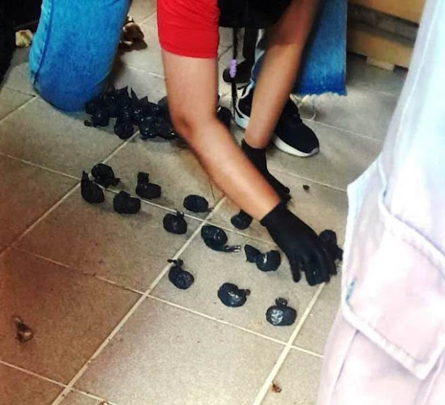 Hallaron el cuerpo de una persona en avanzado estado de descomposición.jpg