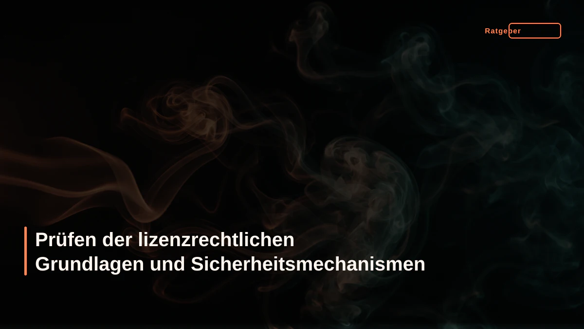 Prüfen der lizenzrechtlichen Grundlagen und Sicherheitsmechanismen