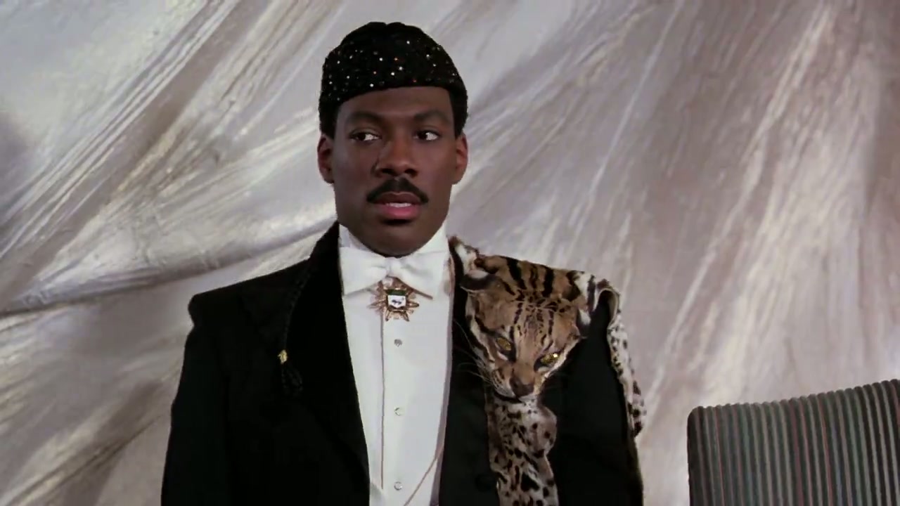 Coming to America Screenshot