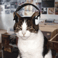IMG-5148.gif