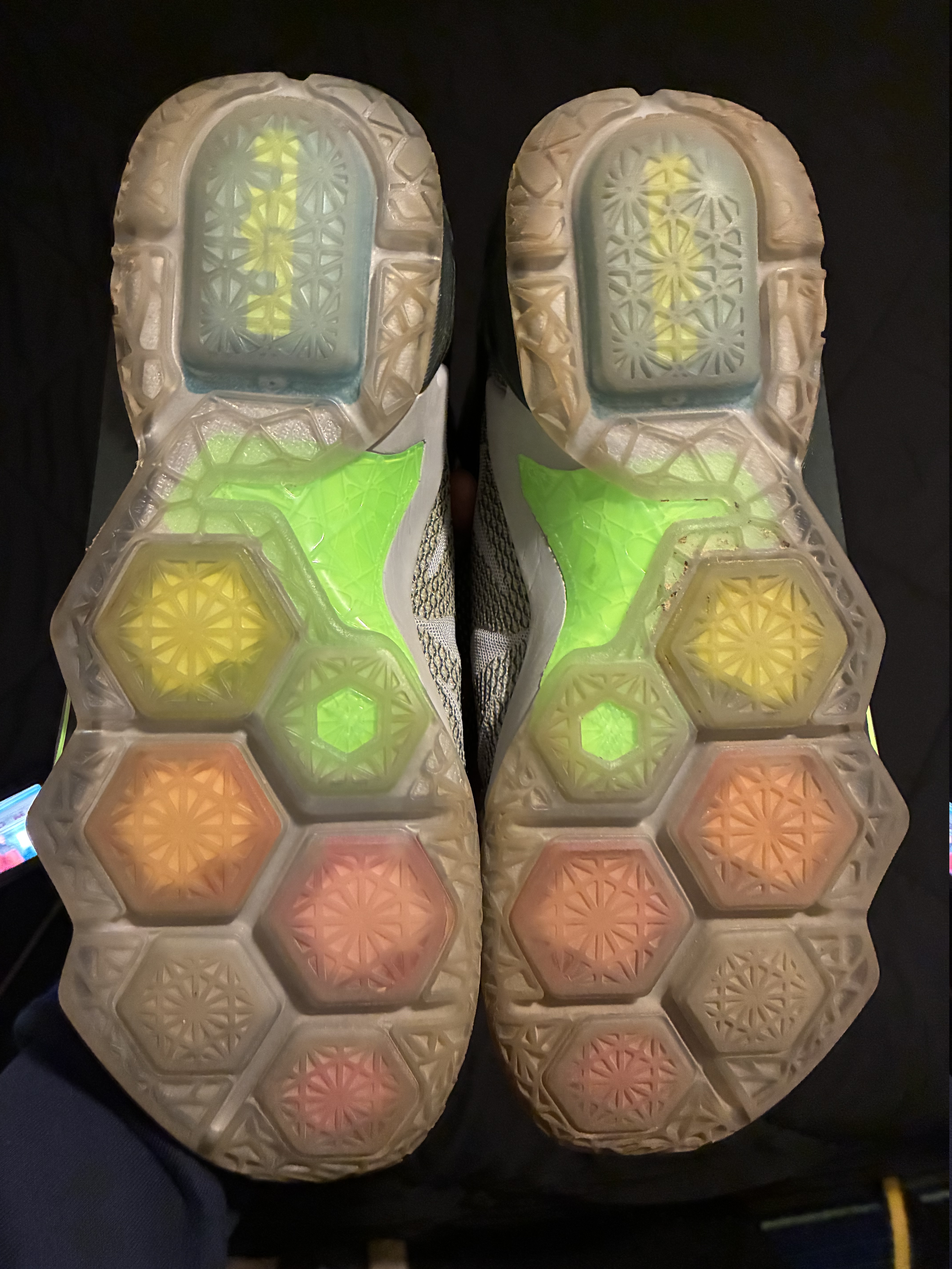 Nike LeBron XII Dunk Force Back