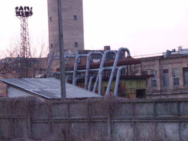P5174156