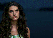 43Untitled 8.gif