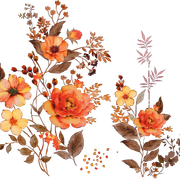 2d53f3f6a9aa8c0ff416299dd6adebfb