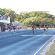 IMG 0329