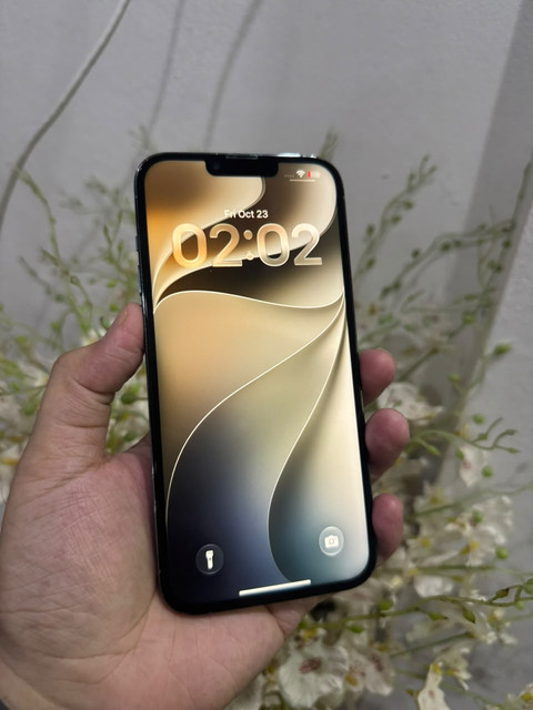 iPhone 13 Pro Max