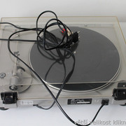 IMG-5536