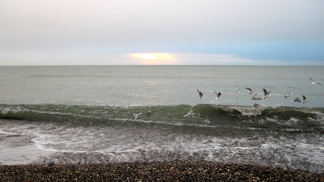IMG-2354
