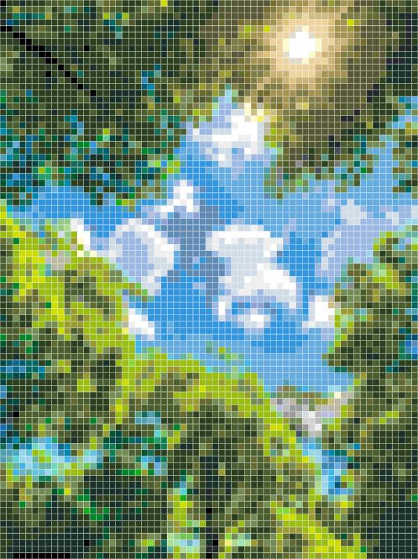 Bright Summer Sky & Green Trees