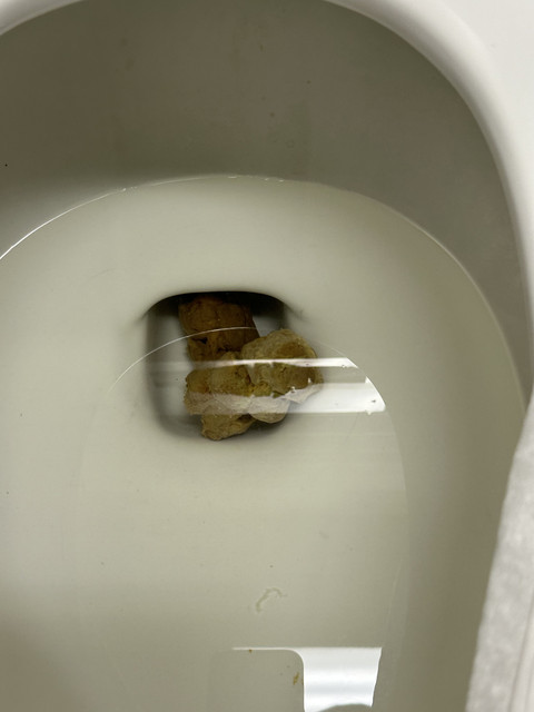 IMG-4916