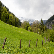 IMG-0131-2