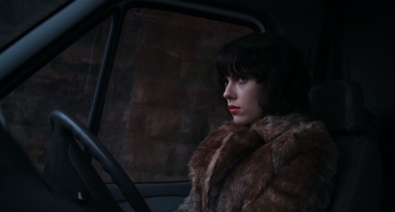 Under the Skin Screenshot