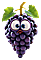 raim.png