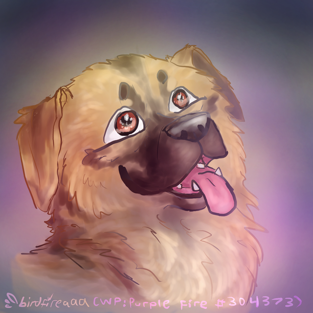made for Anatolian Shepherd (#154416) on wolfplay