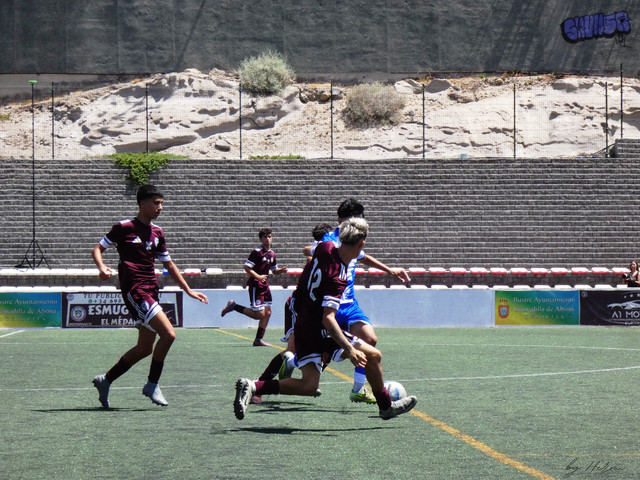 P1010033 resultado.jpg