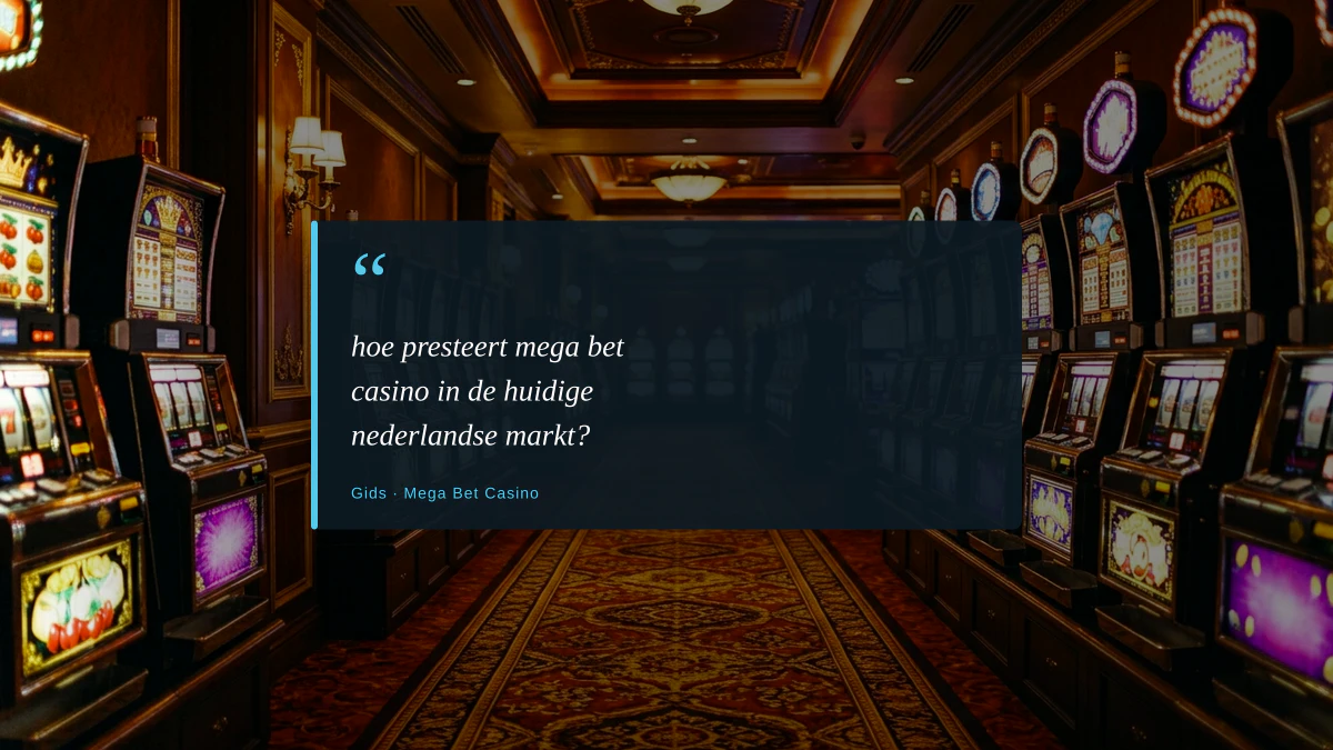 hoe presteert mega bet casino in de huidige nederlandse markt?