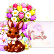 Nicole 91ºBanner