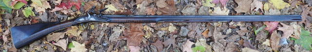 1-full-length