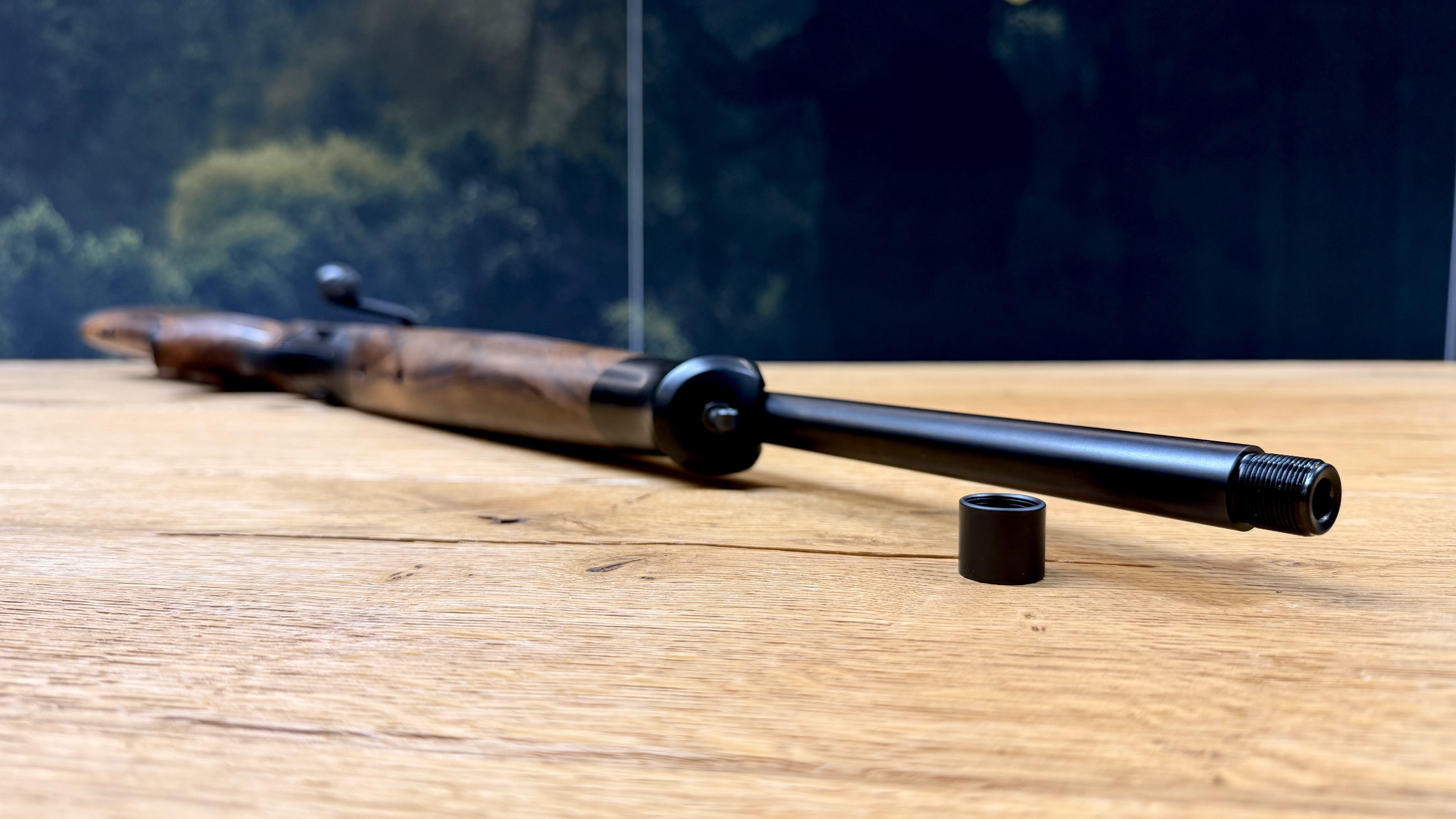 Blaser R8 - Ansicht 11