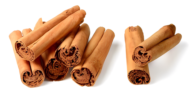 ceylon-cinnamon-028