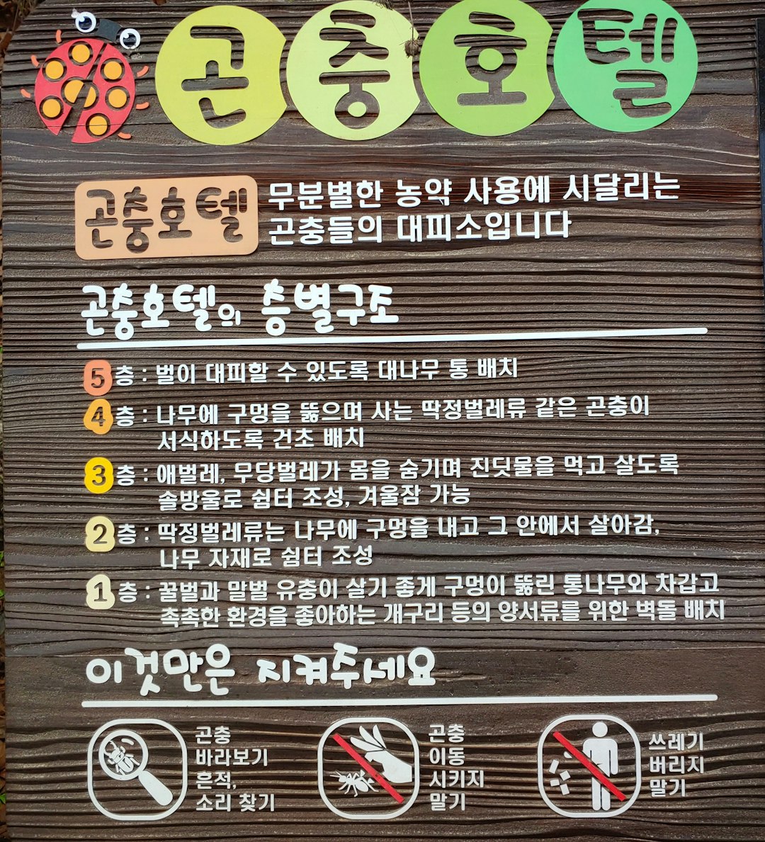 독감 예방접종