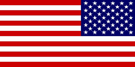 FLAG USA.png