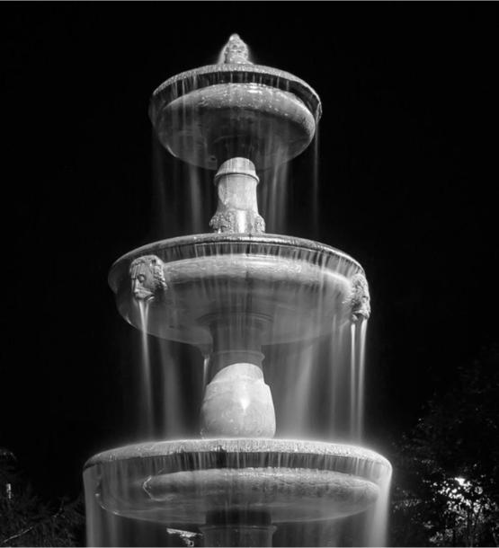 643004.jpg