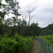 P1330682