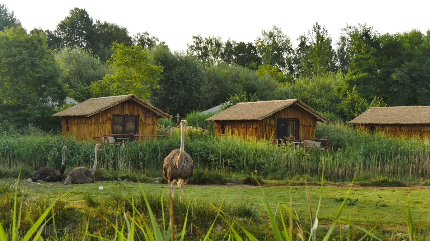 Serengeti-Park / Серенгети-Парк и кусочек Касселя