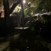 IMG 0581
