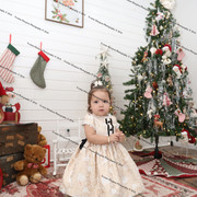 IMG 4135