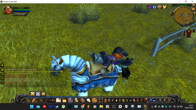 PALADIN