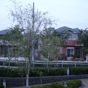 2010-06-25-142