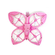 TD2-PINK-2