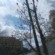 DSC-0013