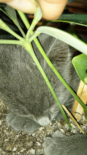 IMG 20180606 202517.jpg
