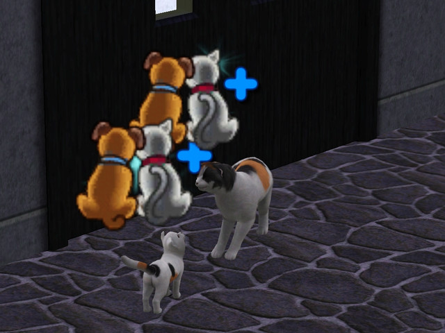 Screenshot-183