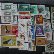 IMG-3411