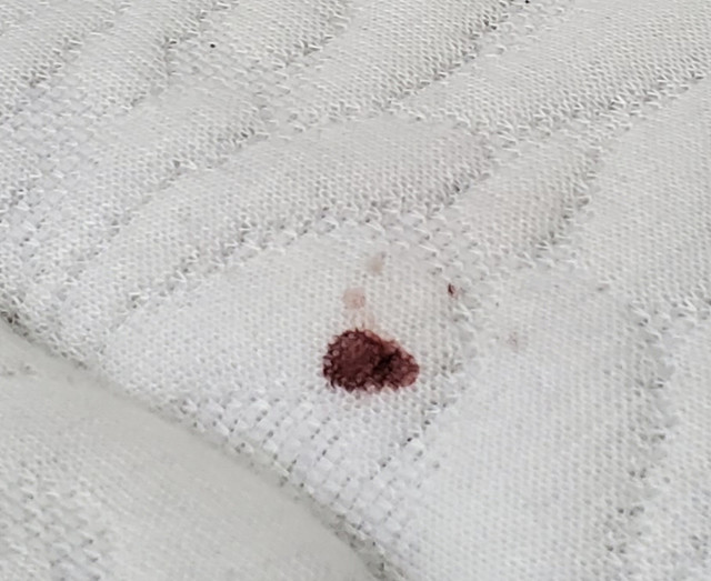 blood