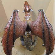 drache41
